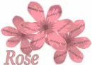 Happy Birthday Rose 