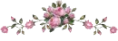 Rose divider