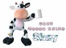 good morning shay