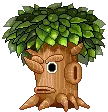 Tree face