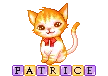 Cute kitten - Patrice