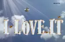 i love it angel dog