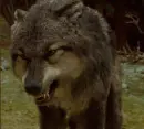 Paul