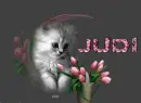 JUDI