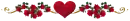 corazon y rosas