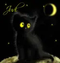 Judi