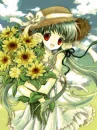 Green Sunflowers