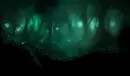 Firefly Forest
