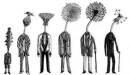 dandelions