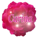 Carina