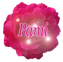 Pami