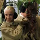 Draco Malfoy