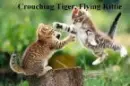 cat pounce