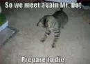 cat,dot