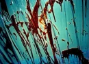 blue red blood