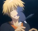 Usui Takumi and the kitty