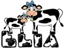 Cute Cow - Elia