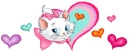 charmmy kitty