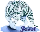 White Tiger - Jessi - fg
