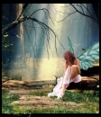 the last fairy