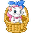 charmmy kitty