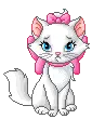 charmmy kitty