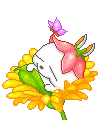 Mashimaro