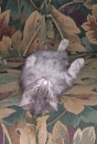 Naptime