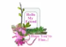 hello my friend