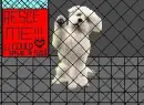 adopt me now dog