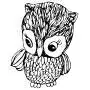 owl