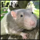 Hang in there