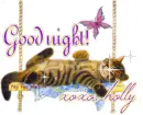 good night