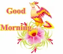 Good morning