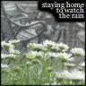 watch the rain