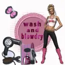 wash and blowdry