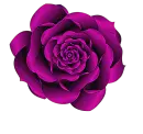 Purple Rose