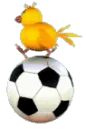 football