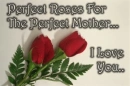Mothers day
