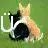 hug of cats
