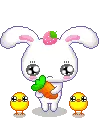 Bunny