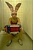 bunny boy