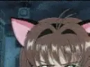CCS