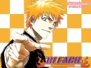 bleach