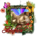 Andrea Sleep