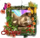 Pami Sleep