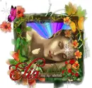 Elia Sleep