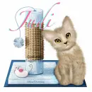 Judi Kitten