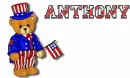 USA Bear - Anthony