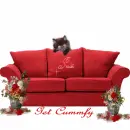 get cummfy at judi's